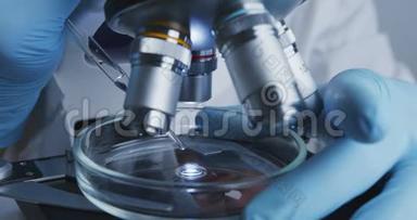 技师将溶液从吸管滴入培养皿中，以便在显微镜下进一步检查。