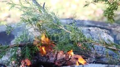 烧焦的树枝慢慢地捕捉火苗，在火坑中特写院子碎片