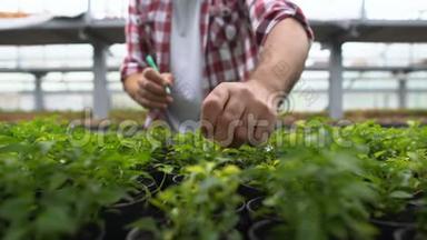 <strong>培育</strong>农场工人在温室内种植有机蔬菜