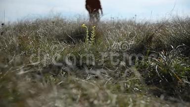 一个人的脚`特写，他的轮廓超越地平线，变成离焦。 穿过一片野草