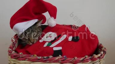 带条纹的猫睡在一个篮子里，头上戴着红色<strong>圣诞老人帽子</strong>，裹着一条红色的毯子，上面写着<strong>圣诞老人</strong>的形象
