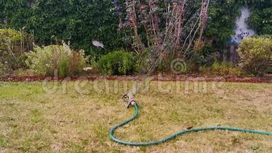 用自动花园喷雾器给草坪浇水，用喷水器把草坪上的水灌起来，在后院喷水