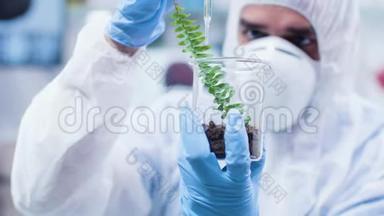 研究人员在植物上浇筑转基因