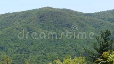 乔治娅堡山，从一座山的俯瞰处放大到城堡山