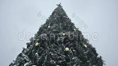 降雪时装饰圣诞树的底部景色。 大风雪中的除夕夜。 冬天。 开始的概念