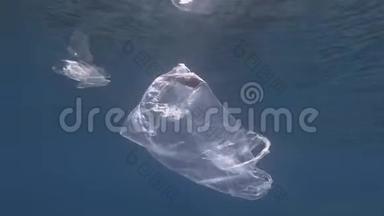 塑料污染，河豚死亡击中被困塑料袋。 废弃的透明塑料袋里面漂浮着死鱼