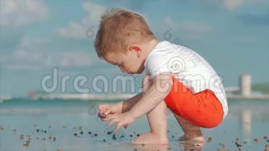 可爱的孩子在海边玩耍，孩子在热带海滩上捉到活的贝壳、螃蟹