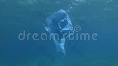 旧的蓝色塑料袋慢慢地漂浮在蓝色的水面下。 水下塑料污染<strong>海洋</strong>。 塑料<strong>垃圾</strong>