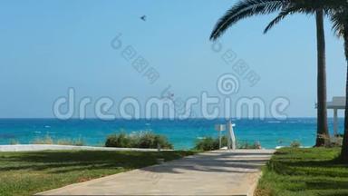 有棕榈的<strong>小径</strong>通向蔚蓝地中海的海滩，被美丽的塞浦路斯<strong>自然</strong>所包围。