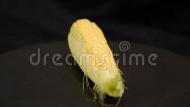 黑色背景下的成熟甜玉米豆荚的特写。 黑色背景下成熟玉米的特写。