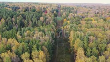 在秋天的树林里从上面勘测<strong>电力线</strong>路
