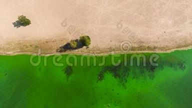 沙质河岸上的高空和被绿藻严重污染的水