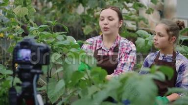 家庭园丁在温室里录制一段关于园艺的视频