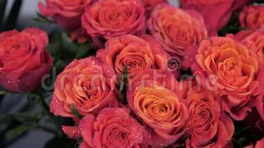 鲜花店出售带水滴的<strong>鲜红</strong>色玫瑰，近景。