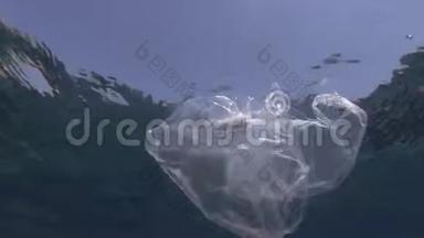 塑料污染，是死鱼撞击被困塑料袋。 丢弃的透明塑料袋与死鱼漂浮