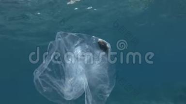 塑料污染，河豚死亡击中被困塑料袋。 废弃的透明塑料袋里面漂浮着死鱼