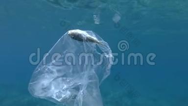 塑料污染，泡芙<strong>鱼死</strong>在塑料袋里。 废弃的透明塑料袋里面漂浮着<strong>死鱼</strong>
