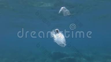 塑料污染，泡芙鱼死在塑料袋里。 废弃的透明塑料袋里面漂浮着死鱼