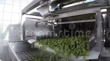 现代油磨中的橄榄清洗过程