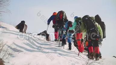 一群登山者克服疲劳，爬<strong>上</strong>白雪皑皑<strong>的</strong>山，鞋<strong>上的尖</strong>钉和滑雪杆<strong>上的尖</strong>钉