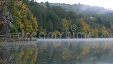伏塔瓦河上弥漫着令人惊叹的雾，秋天的树叶