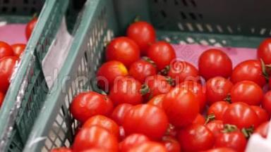 新鲜的西红柿在<strong>超市蔬菜</strong>区的塑料板条箱里