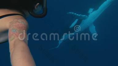 背景中有一只巨大的<strong>鲸鱼</strong>，<strong>鲸鱼</strong>在汤加王国的太平洋中游泳