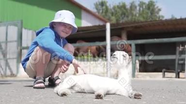 一个男孩在动物园里<strong>抚摸</strong>一只白色的小羊羔。