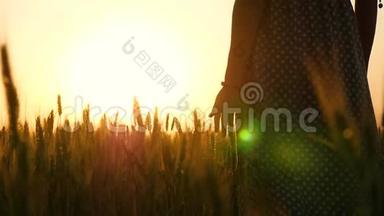 日落时，一个穿裙子的女孩在麦田里。 女孩`手摸着金色的麦穗.. 一个女人的剪影
