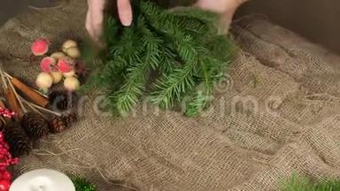 一个花店的女手几乎不撕下一小片云杉。 创造一个圣诞作文。 转移分支