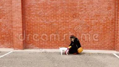 年轻的女人和她可爱的小狗在户外玩得很开心。 可爱的狗吻了她的主人。 白天、城市和城市