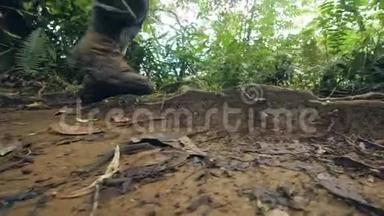 男子双腿穿着徒步旅行鞋在热带雨林的肮脏小路上行走，而夏季徒步旅行。 热带森林游客徒步旅行