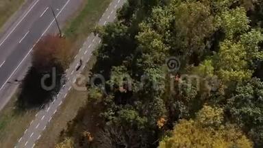 一个人骑着自行车沿着森林附近的一条道路从秋天的树木上方拍摄的动态空中 开车的汽车