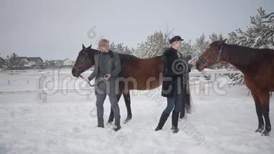金发女人和高个子男人领着两匹棕色的马在雪冬牧场。 那个女孩得到了一匹倔强又顽皮的马.. A.