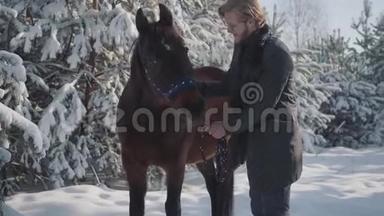 迷人的年轻人在白雪覆盖的圣诞树和松树的背景下在户外<strong>抚摸</strong>一匹马。 那个家伙