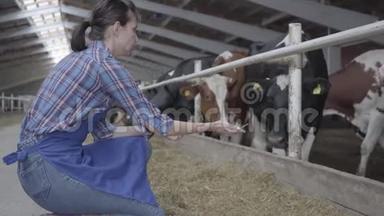 年轻的女农民在<strong>农场</strong>上参观谷仓，喂牛。 在<strong>现代农场</strong>上进行冷冻喂养。 奶牛