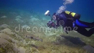 埃及，阿布达布-2019年5月30日：摄影师拍摄像一条鱼在白天慢慢游过沙底