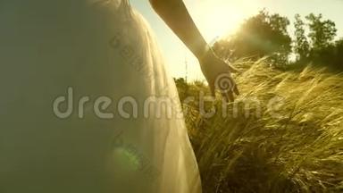 在日落时把手举起来。 在夕阳的余晖中翱翔.. 女孩摸麦子。 特写镜头。