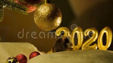 灰鼠坐在圣诞树下吃，背景是2020年<strong>新年</strong>的<strong>风</strong>景。