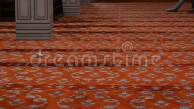 一个大的灰色吸尘器清洁地毯。 伊斯坦布尔，一个人在蓝色清真寺里吸了一块巨大的红地毯