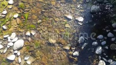 <strong>清新</strong>的河水，山涧的急流.. <strong>舒缓</strong>的4K视频，通过水你可以看到石头和藻类