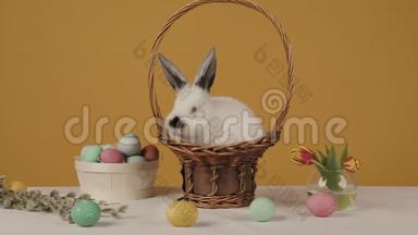 黄色背景的可爱的小白兔，放在篮子里，桌上放着鸡蛋