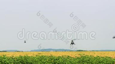 军用直升机飞越向日葵、敌对行动、飞机领域