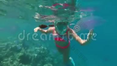 少女在红色的海洋中游泳，在紫色水母之间，戴着一个完整的面罩浮潜。 水母