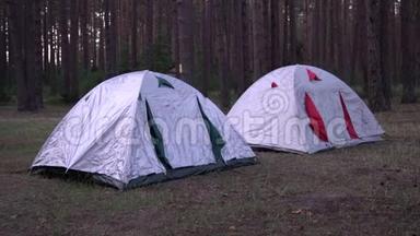 黄昏时分，在福雷斯特的一个露营地看到两个帐篷。 防水帐篷被树林里的树木包围着。 一夜之间度过