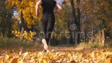 不可辨认的运动员<strong>跑</strong>在秋天的公园踩在干燥的枫叶上。 男子<strong>跑</strong>步者慢<strong>跑彩色</strong>摔倒