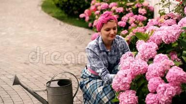 快乐的女人在花园里照顾花。 在花园中心浇花。 绣球花。 春季和夏季