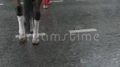 夏季城市雨后马腿在潮湿的沥青路上行走。 雨后行人过人行横道