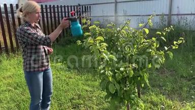 女园丁用杀虫剂内喷雾瓶喷洒果树和灌木以<strong>防治</strong>植物病虫害