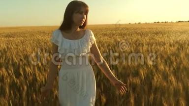 一个女人带着金色的<strong>麦子</strong>在天空中穿行。有机小麦。一个漂亮的女孩走过田野